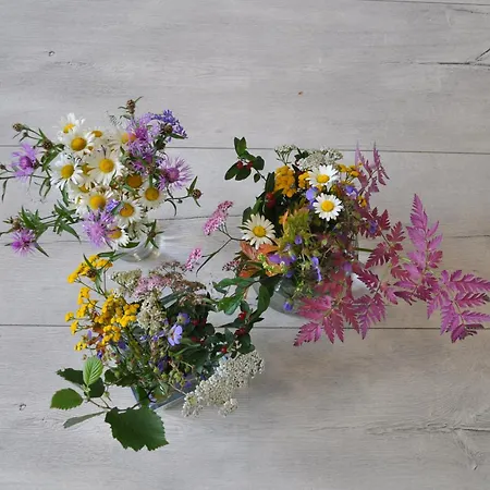 Accommodatie bij particulieren Goscinne U Anny *